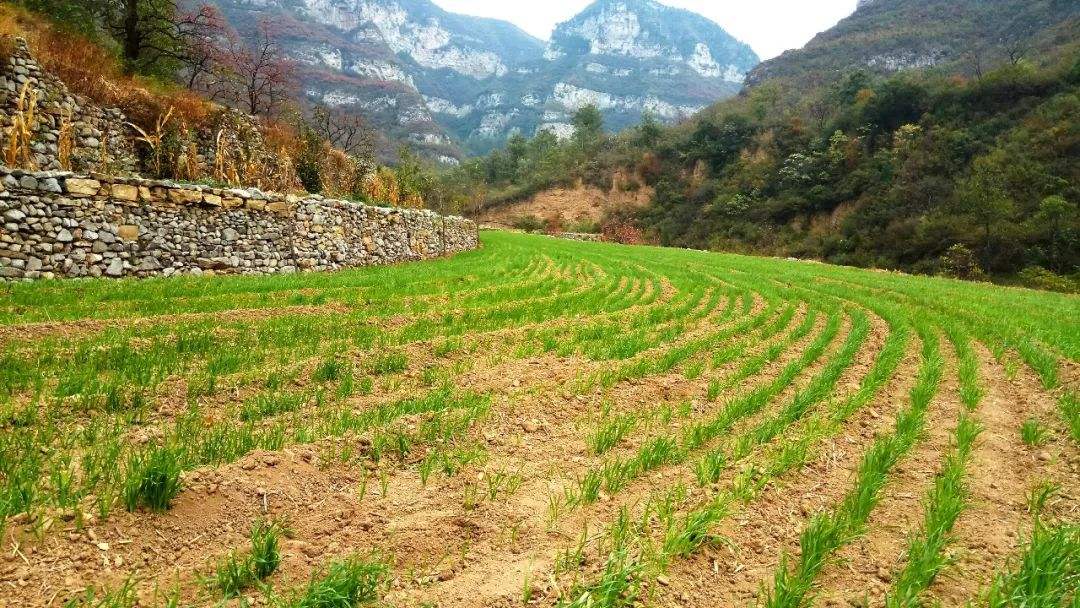 土壤水分测定仪